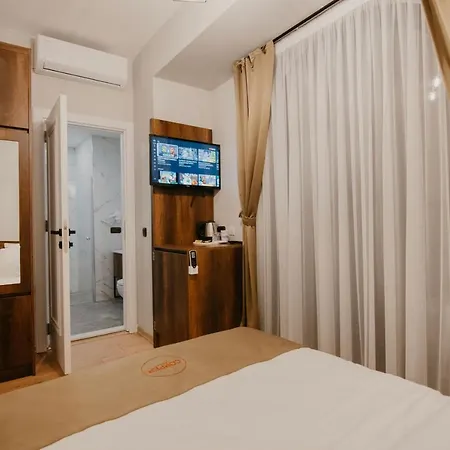 Copper House 트라존